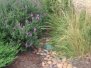 Drainage