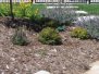 Residential Property 4